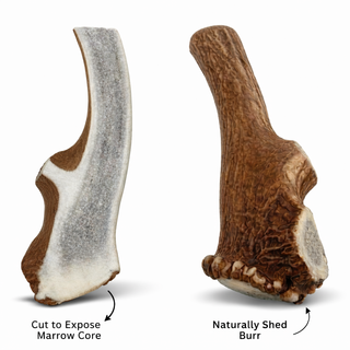Large | Split Red Stag Antler Dog Chews - Single or Multipack