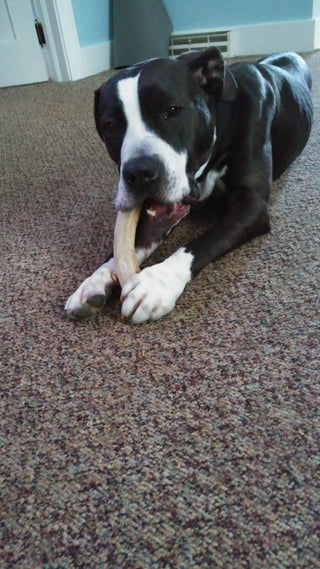 1 lb Bulk Mixed Elk Antler Dog Chews – Whole & Split Variety Pack