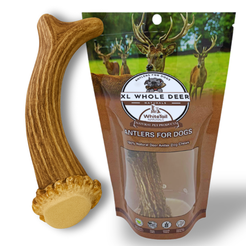 XL - Extra Large | Whole Deer Antler Dog Chew -Single or Multipac