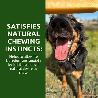 Large - Himalayan Yak Cheese Dog Chew - Single or Multipack