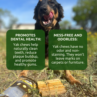 Large - Himalayan Yak Cheese Dog Chew - Single or Multipack