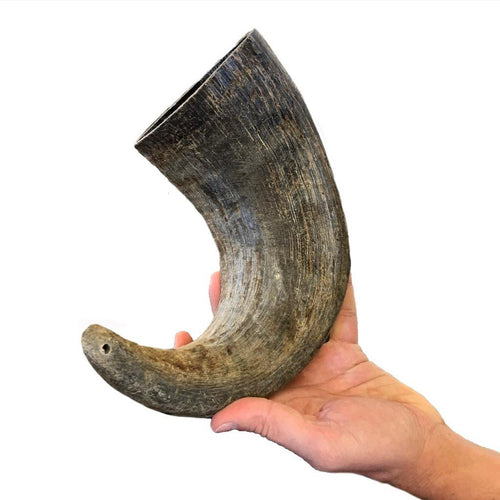 Giant Water Buffalo Bully Horn (XXX-Large) - WhiteTail Naturals