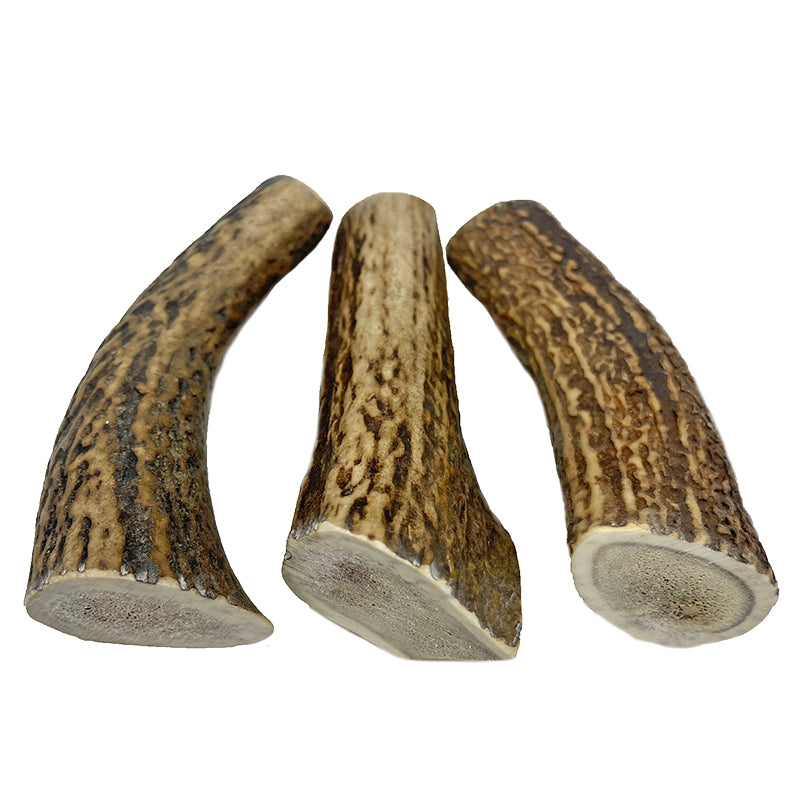 3 Pack - Jumbo/ Thick  | Whole Elk Antler Dog Chew