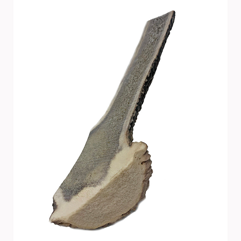 Large | Burred SPLIT Red Stag Antler Dog Chew